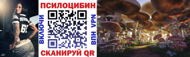 Галлюциногенные грибы Psilocybine cubensis  Купить где  Ветлуга 